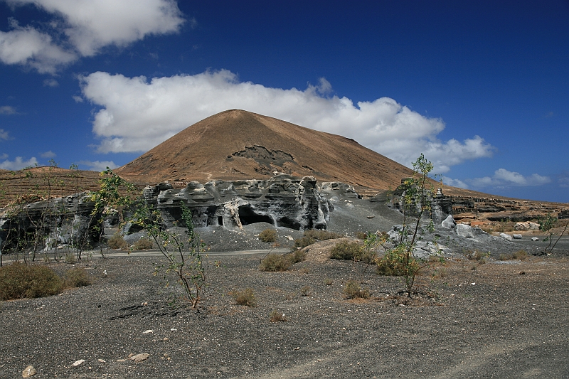 Kanary_2010 211